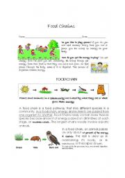 English Worksheet: Food chain