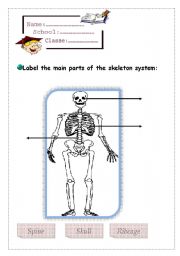 English Worksheet: skeleton