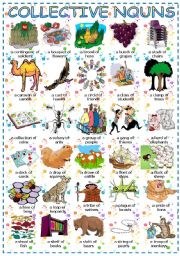 English Worksheet: Collective nouns + of