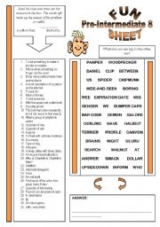 Fun Sheet Pre-Intermediate 8