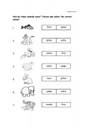 English worksheet: How Animal moves