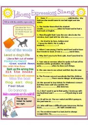 English Worksheet: Idioms, slang, expressions