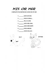 English worksheet: his or her