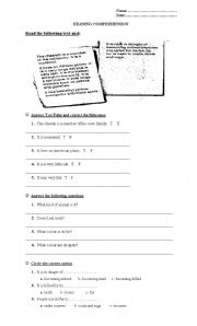 English Worksheet: Cheetahs