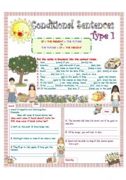 CONDITIONAL SENTENCES (TYPE 1) 1/4 