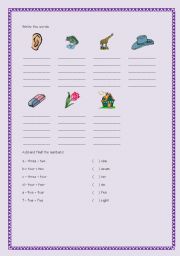 English worksheet: My first words in English