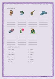 English Worksheet: My first words in English