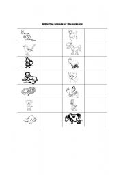 English Worksheet: Sounds of Animals