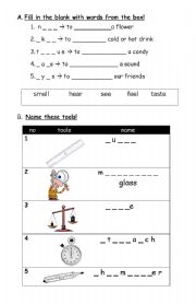 English Worksheet: Senses and Some Tools in Learning Science