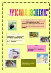 English worksheet: Animals are becoming extinct