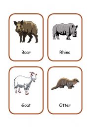 English Worksheet: ANIMALS FLASHCARDS 3/3