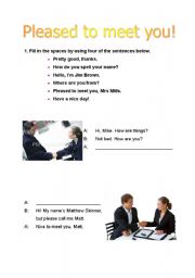 English Worksheet: introductions and greetings