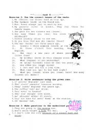 English Worksheet: English Test