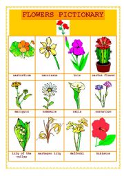 FLOWERS PICTIONARY - ESL worksheet by vivanglais