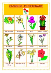 English Worksheet: FLOWERS PICTIONARY