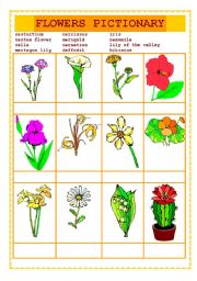 English Worksheet: FLOWERS PICTIONARY DRILL