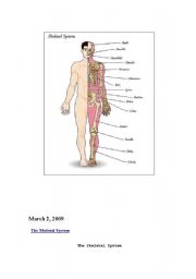 English Worksheet: The Skeletal System