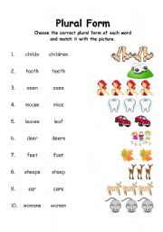 English Worksheet: Plural Form