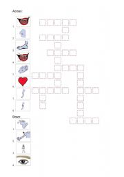 English Worksheet: Body parts crossword