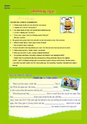 English Worksheet: GRAMMAR TEST 