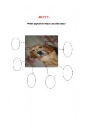English Worksheet: adjectives