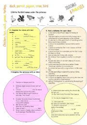 English Worksheet: Idioms with birds