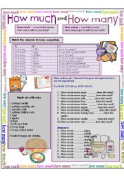 English Worksheet: How much, how many