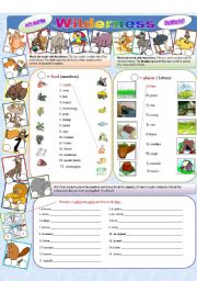 English Worksheet: Lets visit the wilderness!