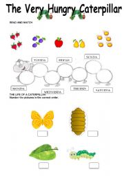 English Worksheet: The Very Hungry Caterpillar - Worksheet - 