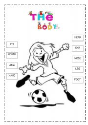 English worksheet: Body Parts