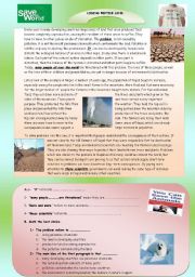 English Worksheet:  Reading: Save our world!