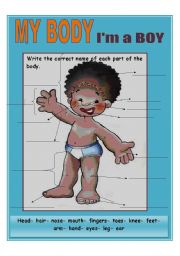 English Worksheet: My body BOY ****UPDATED**** B&W VERSION INCLUDED