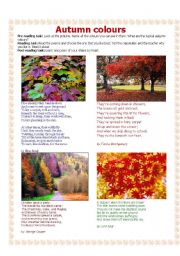 Autumn colours - a poetry lesson