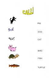 English worksheet: Animals