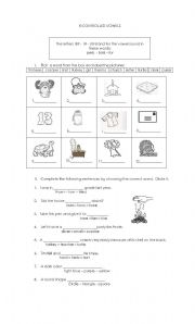 English Worksheet: ER -IR -UR