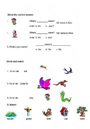 English worksheet: My English Test - Part 2 of 2