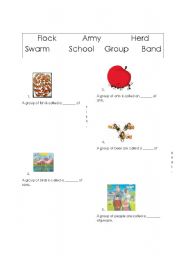 English worksheet: Animal groups