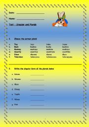 English worksheet: Singular and Plural Nouns Test