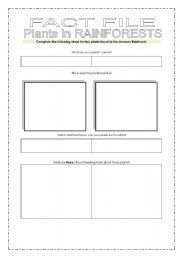 English Worksheet: Plants in rainforests