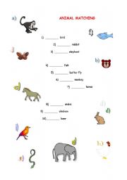 English worksheet: Animal Matching