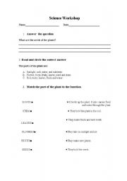 English Worksheet: Matching the parts of the plant