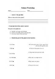 English worksheet: Matching the parts of the plant