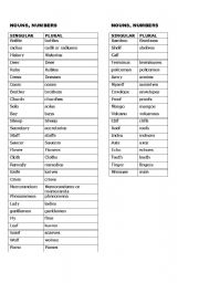 English worksheet: Singular - Plural