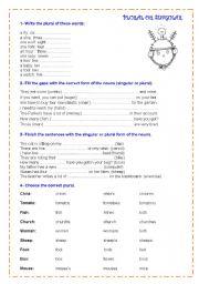 English Worksheet: plural and singular forms 