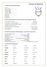 plural and singular forms 