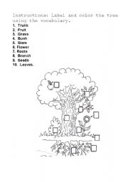 English Worksheet: Parts of the plants