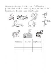 English worksheet: classify de animals