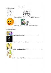 English Worksheet: our five senses