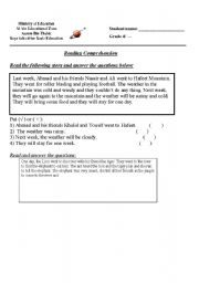 English worksheet: reading test