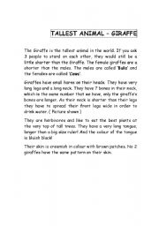 English Worksheet: Tallest Animal